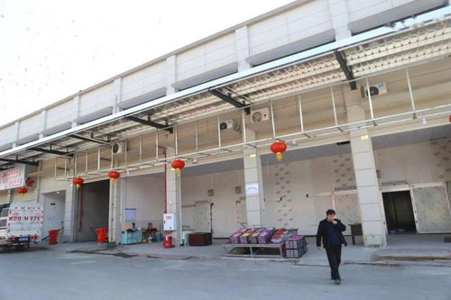 華南農產品批發市場春節銷售創佳績，金屬及金屬礦批發業務亮點頻現